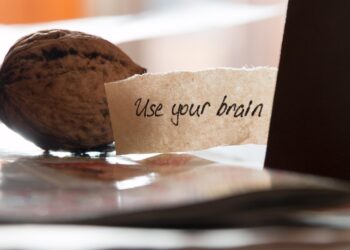 navigator-po-sisteme-upr.ucheta